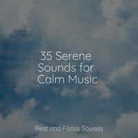 35 Serene Sounds for Calm Music