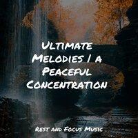 Ultimate Melodies | a Peaceful Concentration
