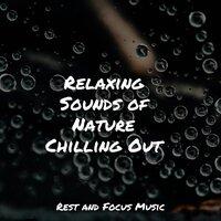 Relaxing Sounds of Nature Chilling Out