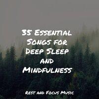35 Essential Songs for Deep Sleep and Mindfulness