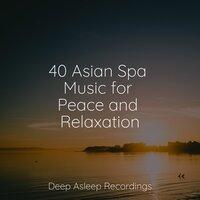 40 Asian Spa Music for Peace and Relaxation