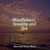 Mindfulness, Serenity and Spa