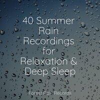 40 Summer Rain Recordings for Relaxation & Deep Sleep
