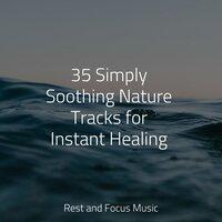 35 Simply Soothing Nature Tracks for Instant Healing