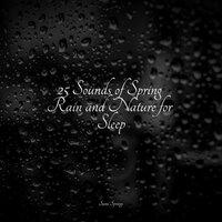 25 Sounds of Spring Rain and Nature for Sleep