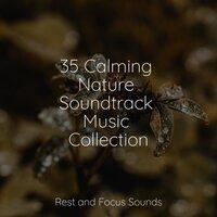 35 Calming Nature Soundtrack Music Collection
