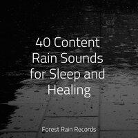 40 Content Rain Sounds for Sleep and Healing