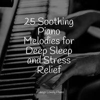 25 Soothing Piano Melodies for Deep Sleep and Stress Relief