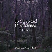 35 Sleep and Mindfulness Tracks