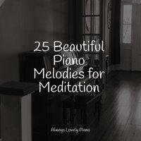 25 Beautiful Piano Melodies for Meditation