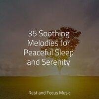 35 Soothing Melodies for Peaceful Sleep and Serenity