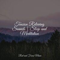 Tension Relieving Sounds | Sleep and Meditation