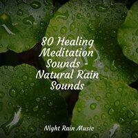 80 Healing Meditation Sounds - Natural Rain Sounds
