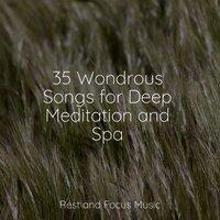 35 Wondrous Songs for Deep Meditation and Spa