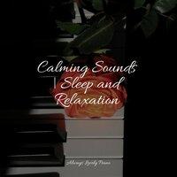 Calming Sounds | Sleep and Relaxation