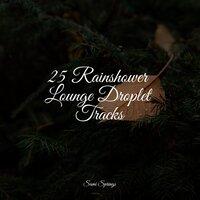 25 Rainshower Lounge Droplet Tracks
