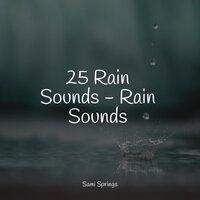 25 Rain Sounds - Rain Sounds