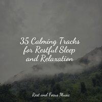 35 Calming Tracks for Restful Sleep and Relaxation