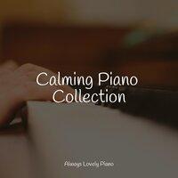 Calming Piano Collection