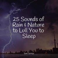 25 Sounds of Rain & Nature to Lull You to Sleep