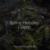 Spring Melodies | Sleep