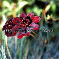 36 Thoughtful Meditation Caress