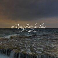 25 Quiet Rain for Sleep Mindfulness