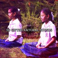 36 Gifted Natural Sounds