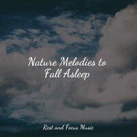 Nature Melodies to Fall Asleep