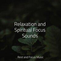 Relaxation and Spiritual Focus Sounds