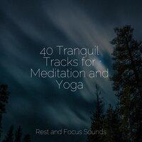 40 Tranquil Tracks for Meditation and Yoga