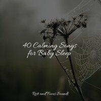 40 Calming Songs for Baby Sleep