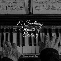 25 Soothing Sounds of Ecstasy