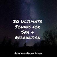 30 Ultimate Sounds for Spa & Relaxation