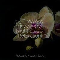 35 Timeless Melodies for Night Sleep Relaxation