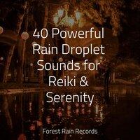 40 Powerful Rain Droplet Sounds for Reiki & Serenity