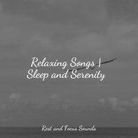 Relaxing Songs | Sleep and Serenity