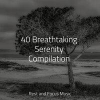 40 Breathtaking Serenity Compilation