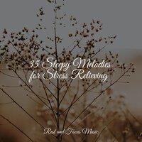 35 Sleepy Melodies for Stress Relieving