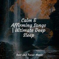 Calm & Affirming Songs | Ultimate Deep Sleep