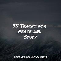 35 Tracks for Peace and Study