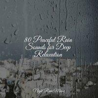 80 Peaceful Rain Sounds for Deep Relaxation