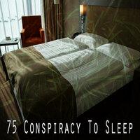 75 Conspiracy To Sleep