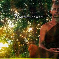 41 Meditation & You