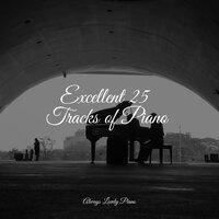 Excellent 25 Tracks of Piano