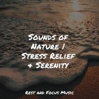 Sounds of Nature | Stress Relief & Serenity