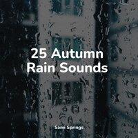 25 Autumn Rain Sounds