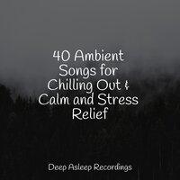 40 Ambient Songs for Chilling Out & Calm and Stress Relief