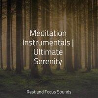 Meditation Instrumentals | Ultimate Serenity