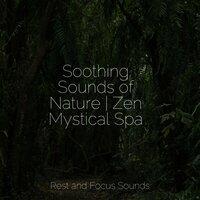 Soothing Sounds of Nature | Zen Mystical Spa